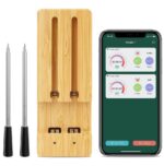 FM205 Dual termometar